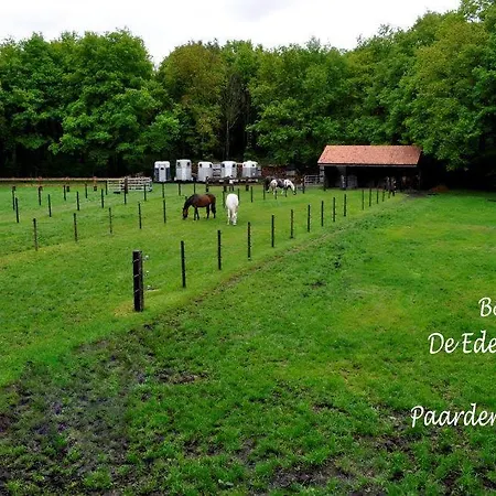 De Edelsteen 4*